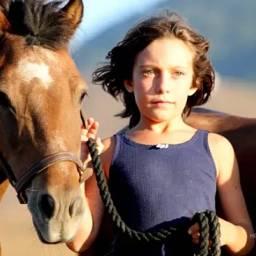 The Skyros Horse